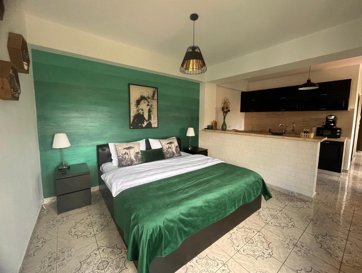 Natura City Center Studio Брашов Екстериор снимка